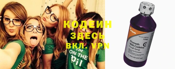 таблы Бородино