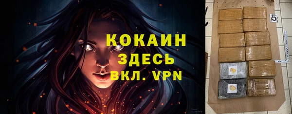 таблы Бородино