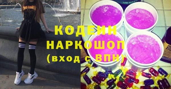 таблы Бородино